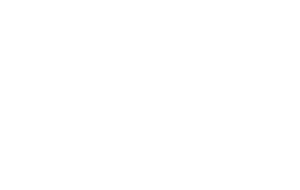 Stylecos Logo Bianco - Stylecos Logo White